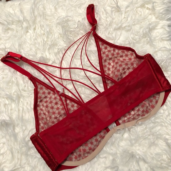 Victoria’s Secret 34DD (34E) LUXE Red Unlined Plunge Bra Embroidered She… - Picture 5 of 7